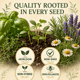 Herb seedlings representing heirloom, non-GMO, non-hybrid, and open-pollinated seeds