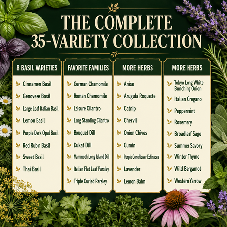 Complete chart of all 35 culinary and medicinal herb varieties included in the collection