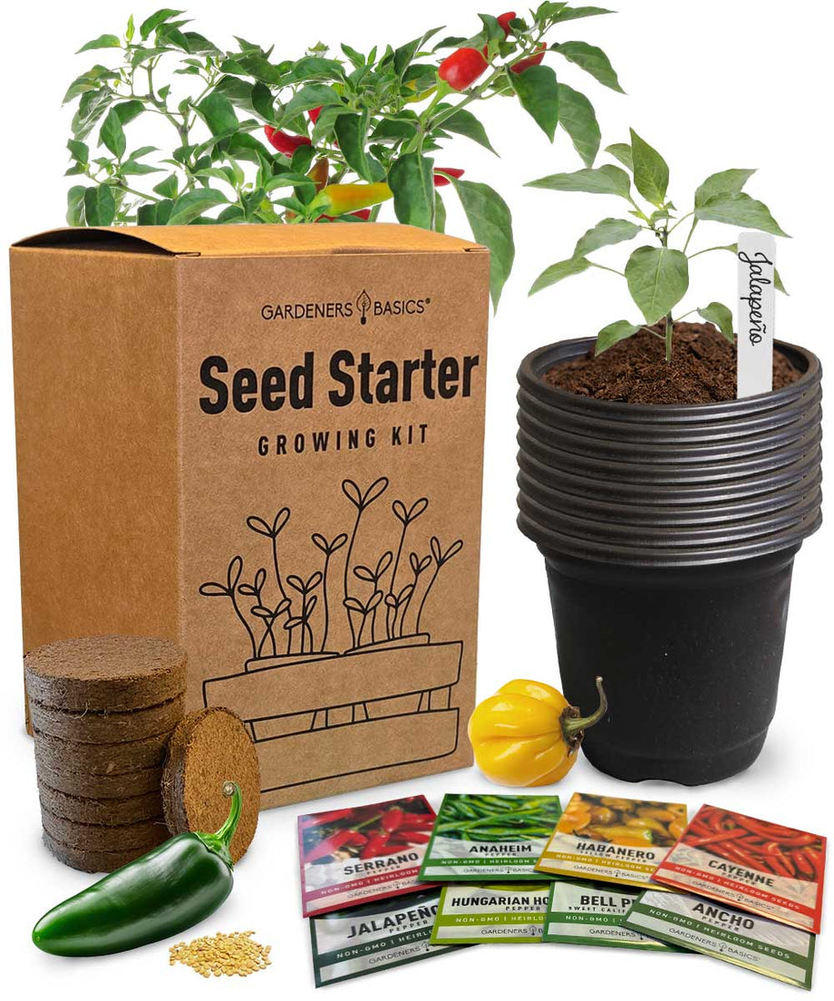 peppercorn seeds for planting Pepper Seed Starter Kit, Green