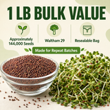 Promotional product graphic for bulk waltham 29 seeds, showing a glass bowl filled with small brown seeds, a pile of green sprouts, and text reading '1 LB BULK VALUE,' 'Approximately 144,000 Seeds,' 'Waltham 29,' and 'Resealable Bag.'.