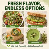 Promotional graphic for a salad and snack mix, featuring four panels showing prepared foods: a green salad with cucumbers and sprouts, a sandwich with avocado and sprouts on whole wheat, wraps with chickpeas and carrots, and a green smoothie. Large text reads 'FRESH FLAVOR, ENDLESS OPTIONS' with smaller text 'Mild, Fresh Flavor with a Slightly Peppery Finish.