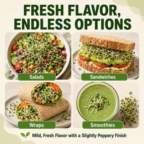 Promotional graphic for a salad and snack mix, featuring four panels showing prepared foods: a green salad with cucumbers and sprouts, a sandwich with avocado and sprouts on whole wheat, wraps with chickpeas and carrots, and a green smoothie. Large text reads 'FRESH FLAVOR, ENDLESS OPTIONS' with smaller text 'Mild, Fresh Flavor with a Slightly Peppery Finish.