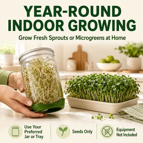 A person holds a clear glass jar with a green base filled with sprouts, with large text reading 'YEAR-ROUND INDOOR GROWING' and smaller text 'Grow Fresh Sprouts or Microgreens at Home.' A tray of green microgreens sits on a countertop in a bright kitchen setting.