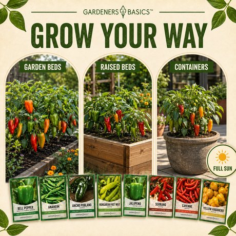 Heirloom Non-GMO open-pollinated pepper seeds grown in the USA