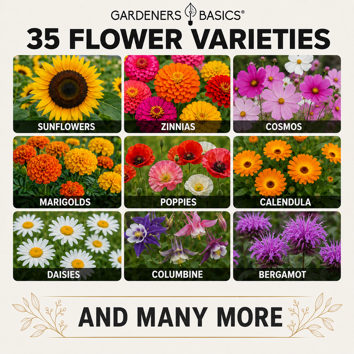 Promotional graphic for Gardeners Basics featuring a grid of 35 flower varieties, including sunflowers, zinnias, cosmos, marigolds, poppies, calendula, daisies, columbine, and bergamot, with text reading '35 Flower Varieties' and 'And Many More'.