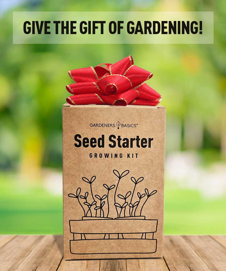 Herbal Tea Garden Kit – Chamomile, Peppermint, Lemon Balm, Lavender & Echinacea Seeds