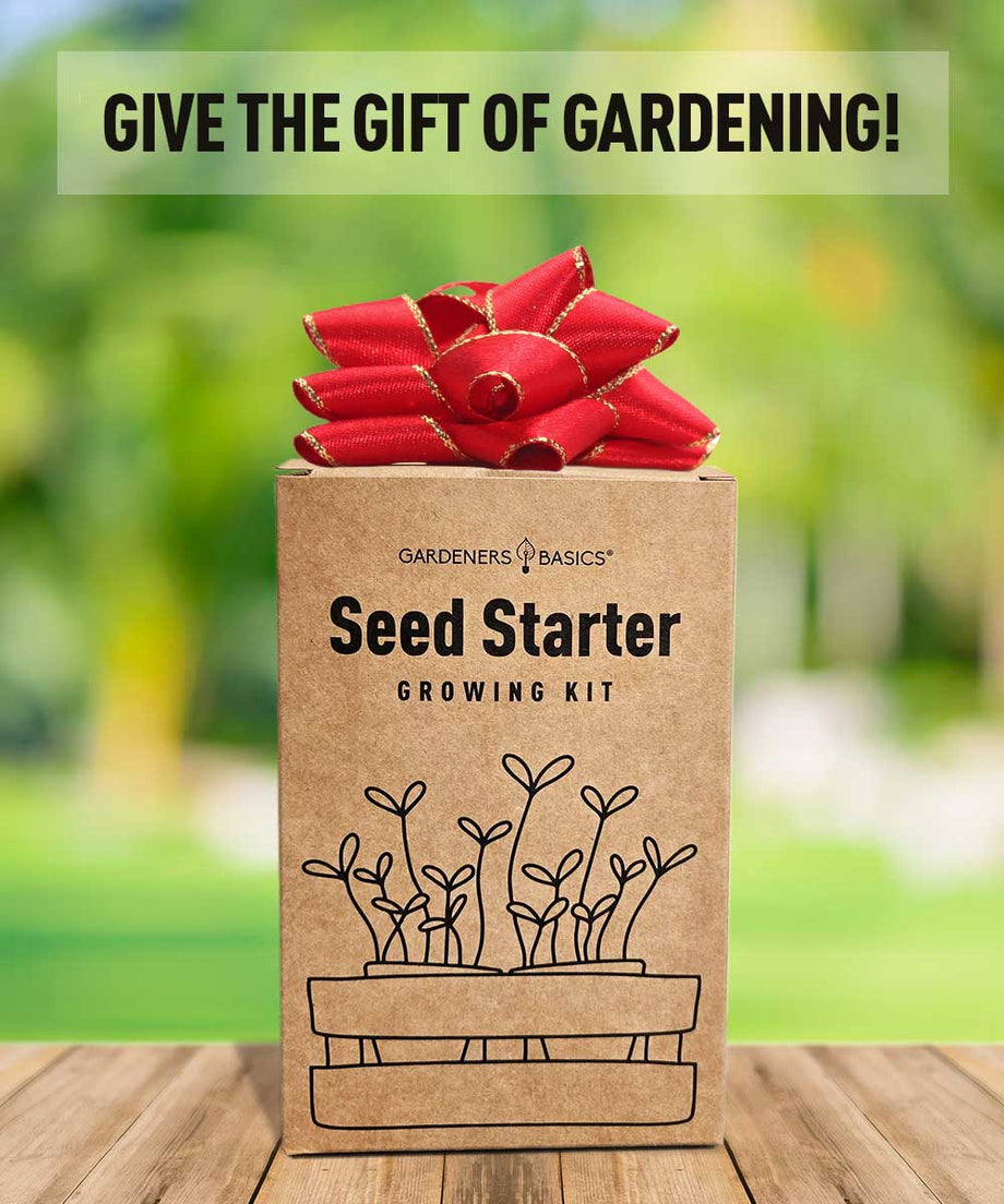 herbal tea garden seeds kit 5 Herbal Tea Seed Starter Kit