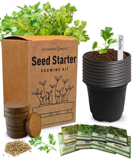 Indoor Herb Garden Kit – Grow Fresh Herbs for Cooking & Tea