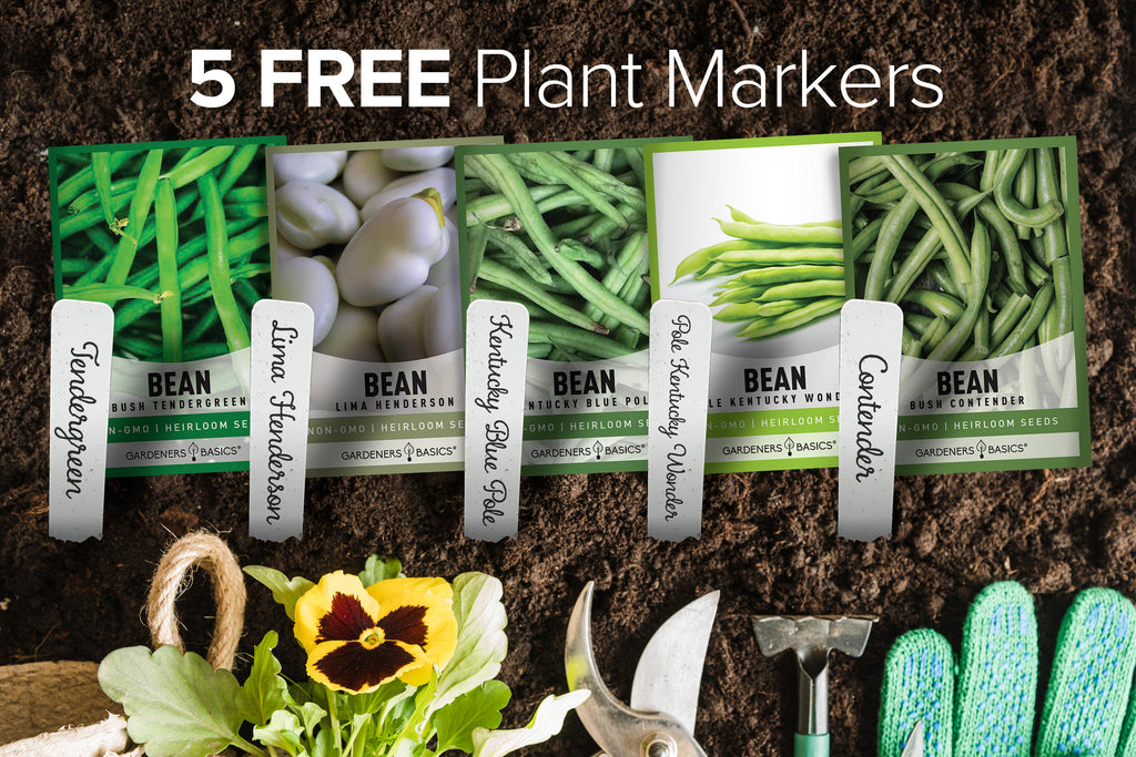 Elevate Your Garden with Our Versatile Bean Seed Assortment