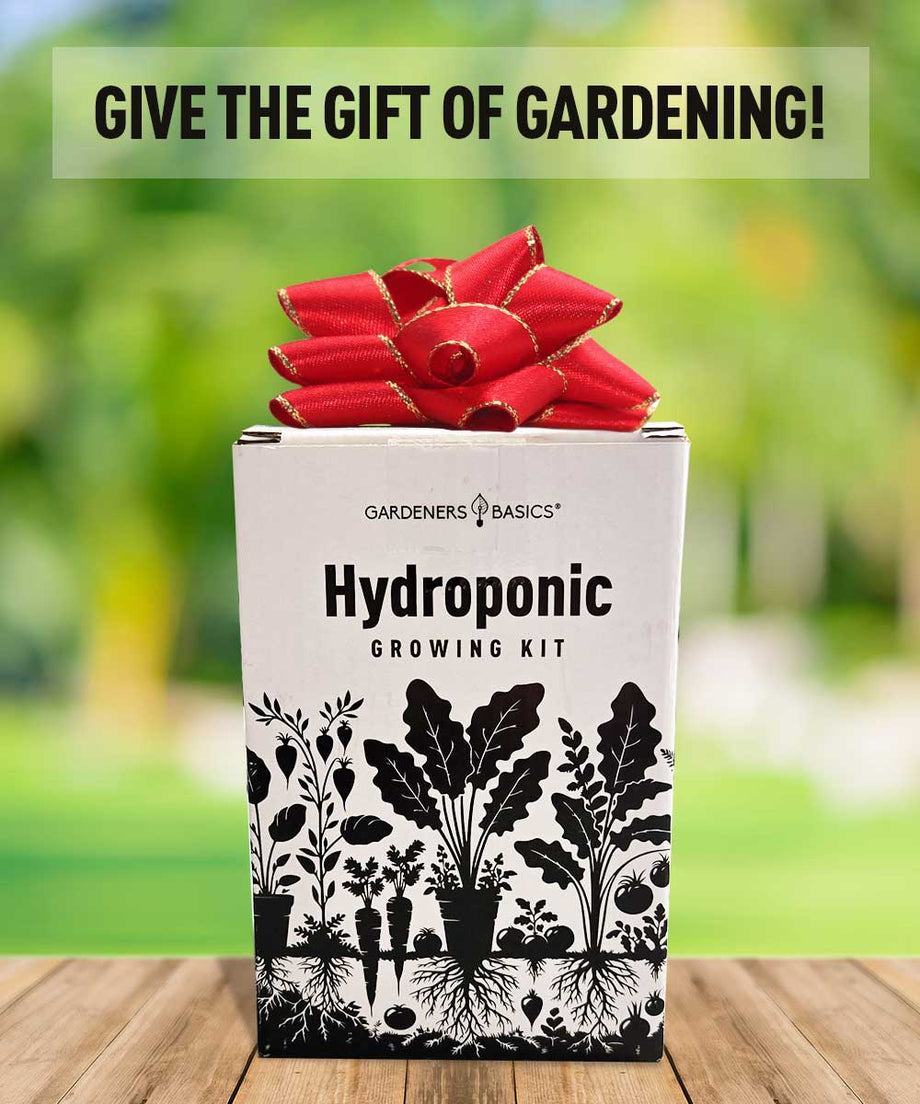 8 Tomato Hydroponic Grow Kit – Grow Roma, Cherry, San Marzano & More  Indoors – Gardeners Basics