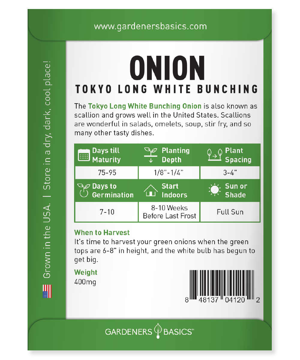 Grow Fresh Green Onions at Home – Tokyo Long White Bunching Onion Seeds