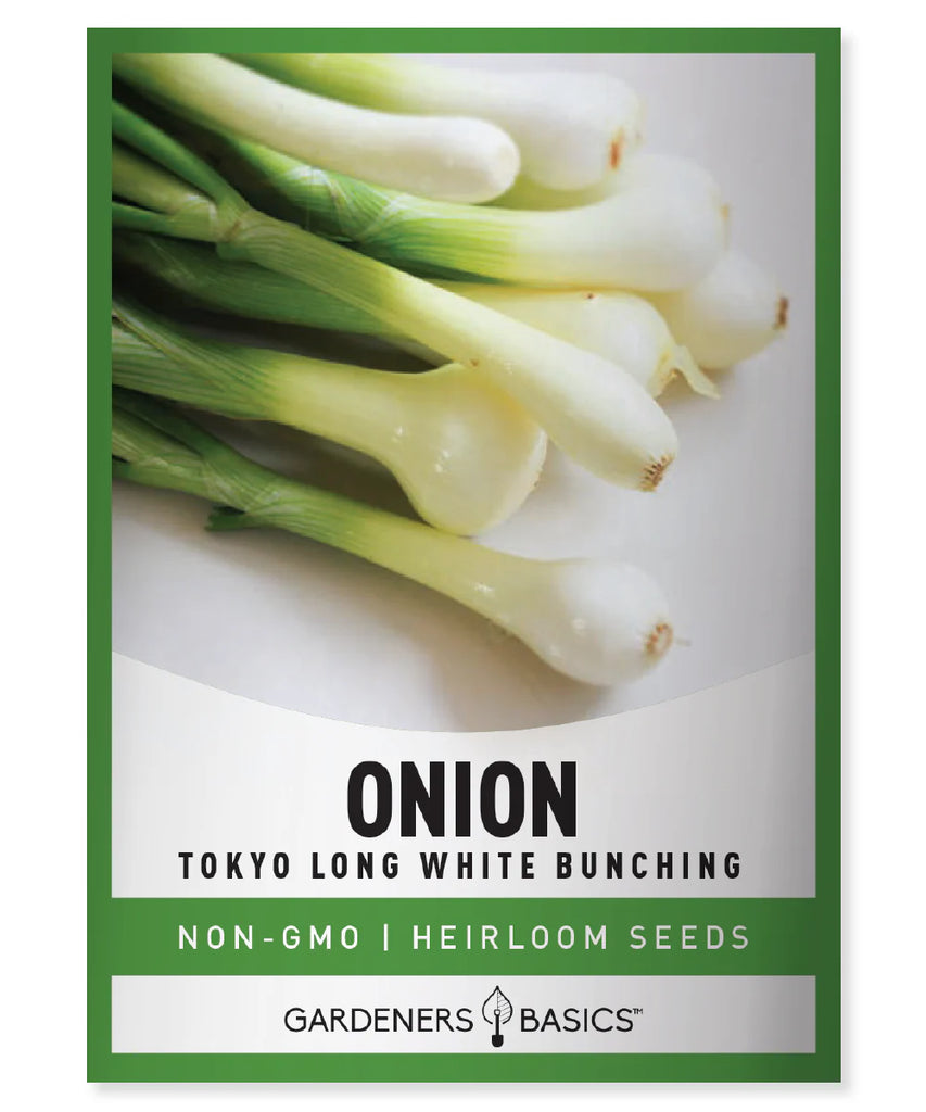 Green Onion Garden Kit – Homegrown Scallions for Salads, Soups & Stir-Fries