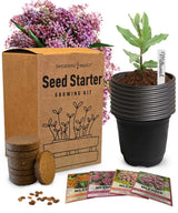 4 Milkweed Seed Starter Kit – Grow Butterfly-Friendly Native Wildflowers