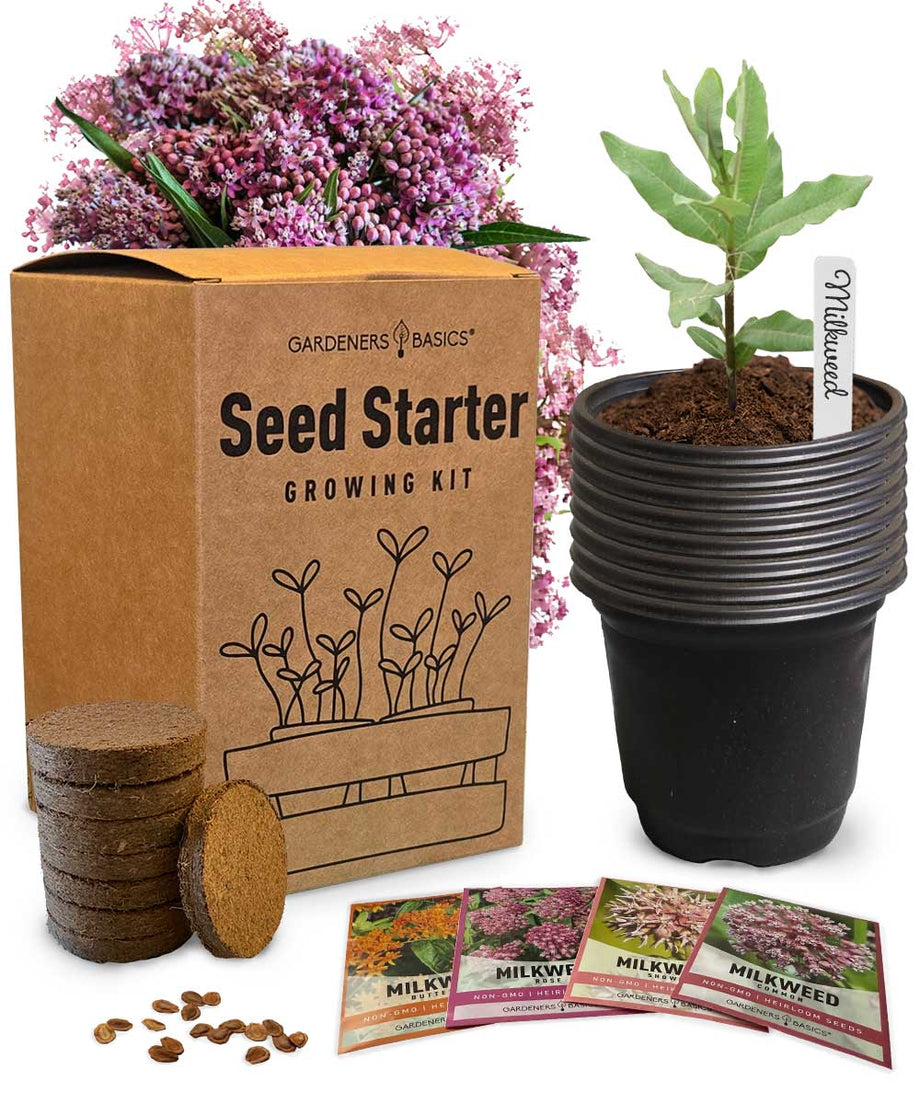 4 Milkweed Seed Starter Kit – Grow Butterfly, Common, Showy & Swamp Milkweed  – Gardeners Basics