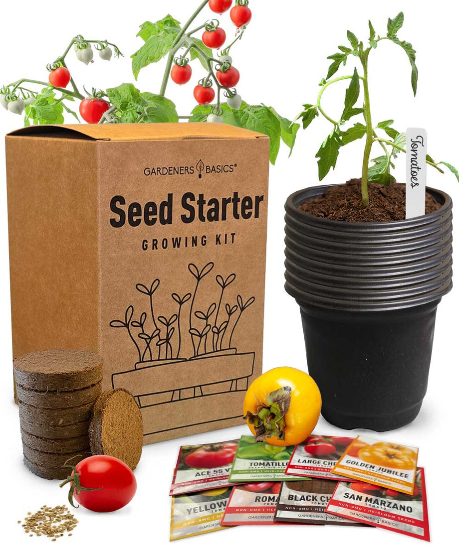 8 Tomato Seed Starter Kit  Grow Roma, Cherry, San Marzano & More |  Heirloom & Non-GMO  Gardeners Basics