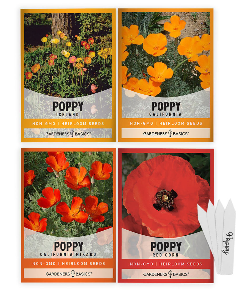 Heirloom Poppy Seed Assortment - 4 Varieties, Non-GMO, Open