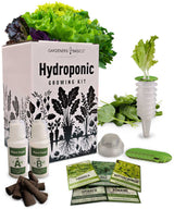 5 Lettuce Hydroponic Growing Kit - Heirloom, Non-GMO Seeds | Indoor Gardening with Baskets, Sponges, Domes & Nutrients