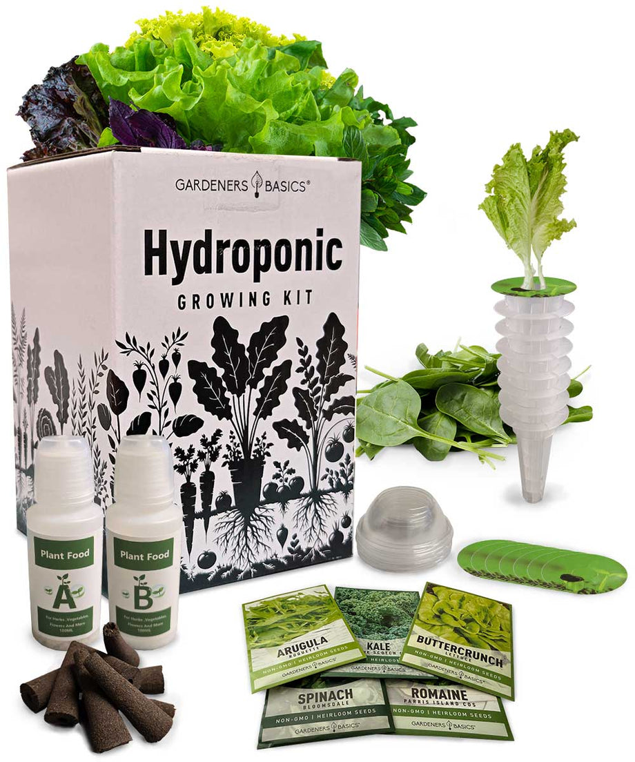 Lettuce Hydroponic Growing Kit