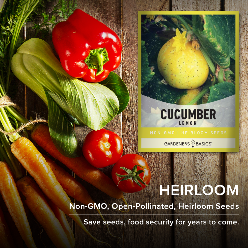 planting lemon cucumber seeds Lemon Cucumber Seeds for Planting: Non-GMO Seeds for Delicious Harvest – Gardeners Basics