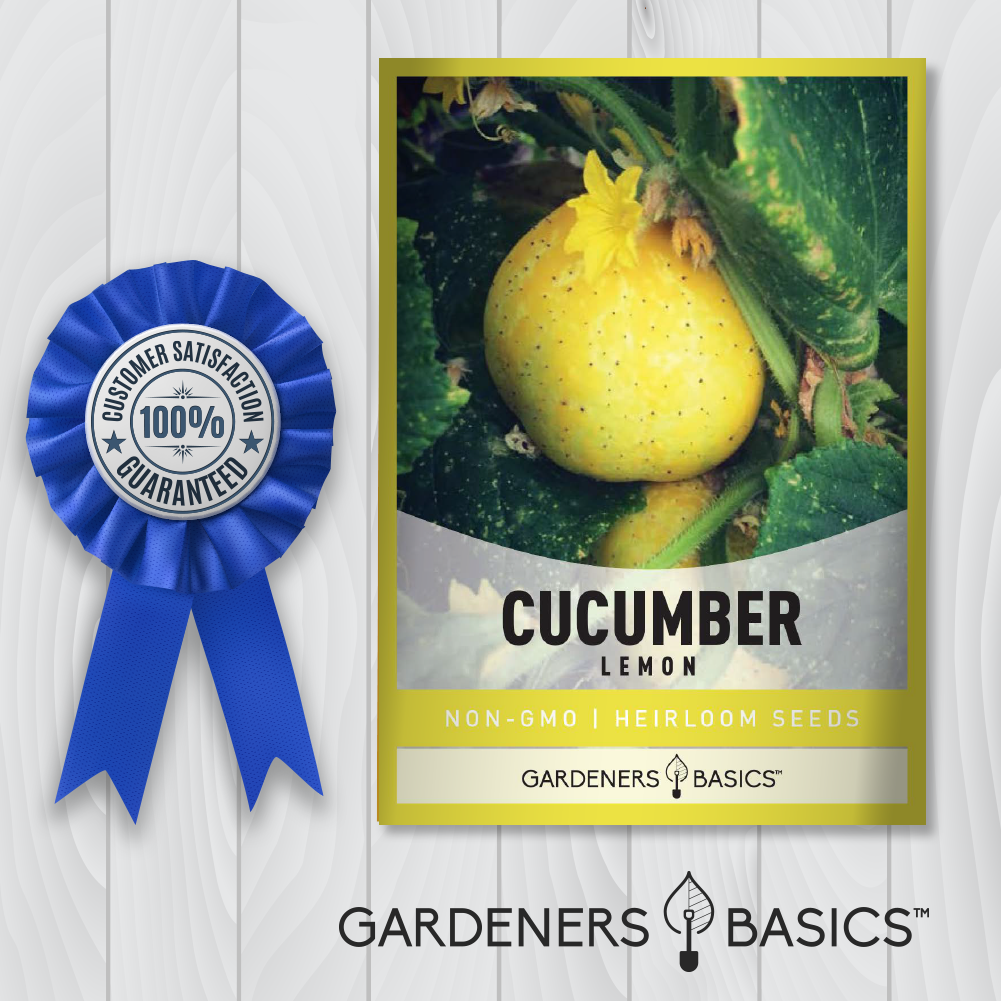 High-Quality Lemon Cucumber Seeds: Perfect for Salads, Pickling, and Healthy Snacking