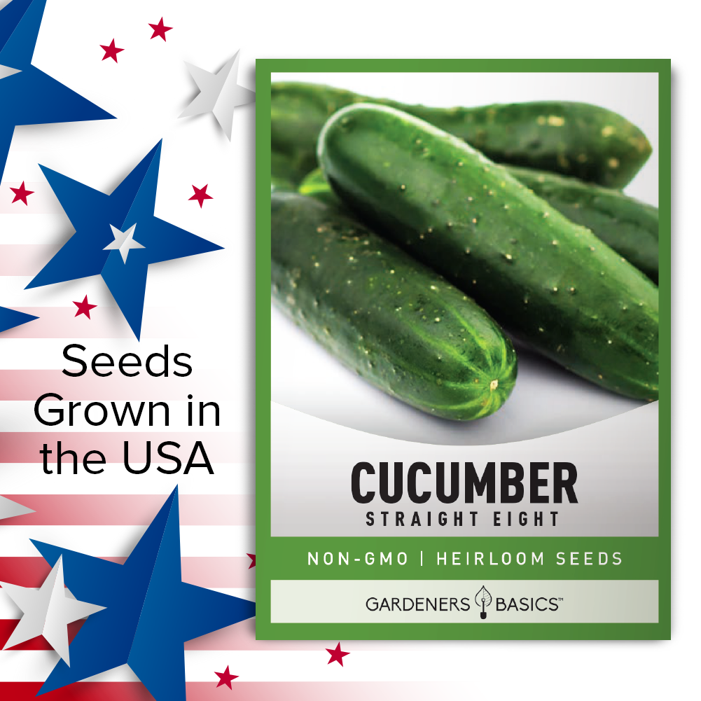Straight Eight Cucumber Seeds: The Secret to a Successful Garden