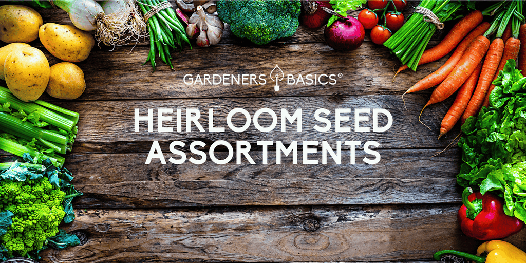 Gardening for the Future: The Importance of Preserving Heirloom Seed Varieties