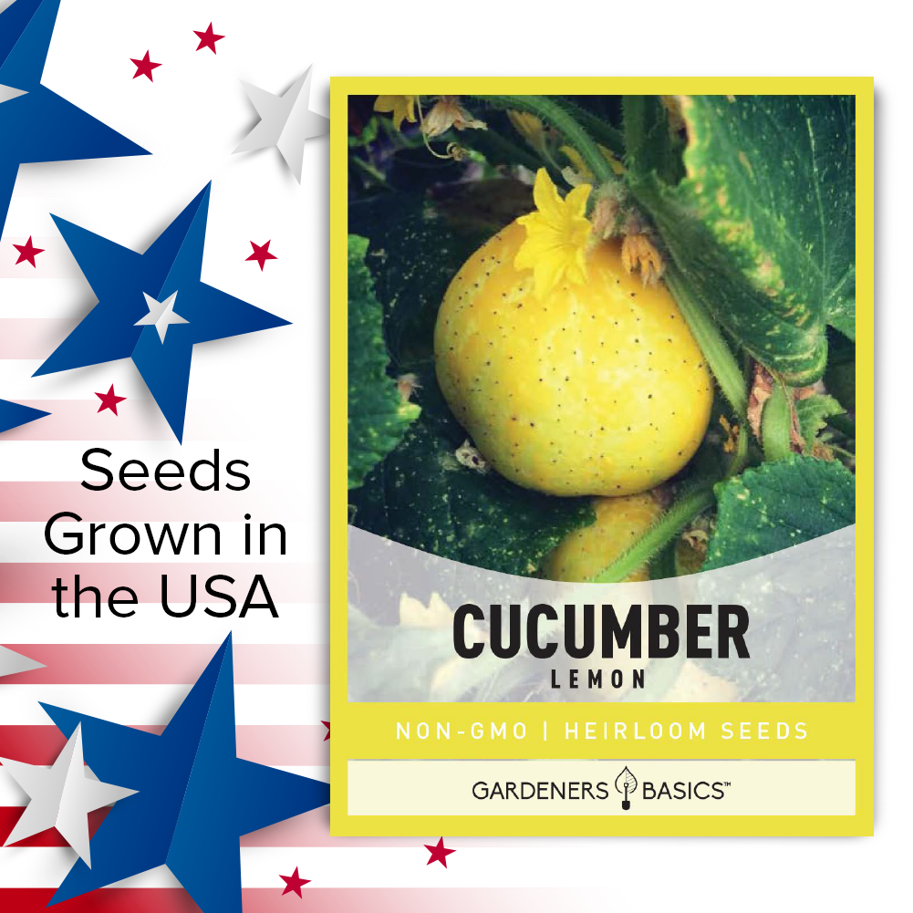 How to Plant and Grow Lemon Cucumbers