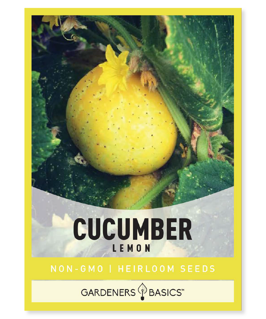 planting lemon cucumber seeds Lemon Cucumber Seeds for Planting: Non-GMO Seeds for Delicious Harvest –  Gardeners Basics