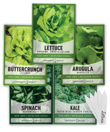 Grow Lettuce, Kale, Spinach & Arugula at Home - Complete Non-GMO Salad Garden Kit for Indoor & Outdoor Growing