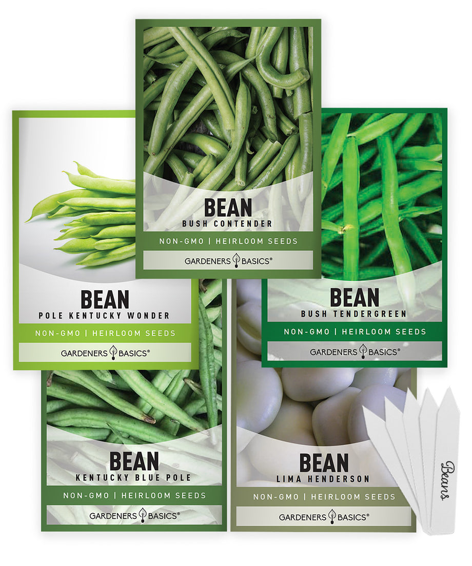 garden bean seeds Bean Seed Assortment 5 Variety Pack for Heirloom Home Gardening – Gardeners Basics