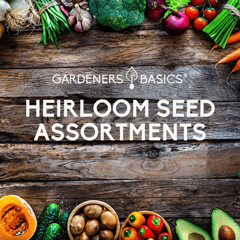 Heirloom Seeds - Survival Kits, Vegetable, Fruit & Herb Seeds – Gardeners  Basics