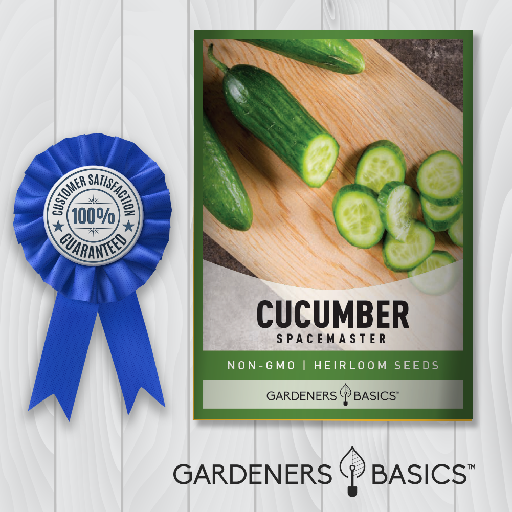 Spacemaster Cucumber Seeds: Perfect for Pickling & Fresh Eating