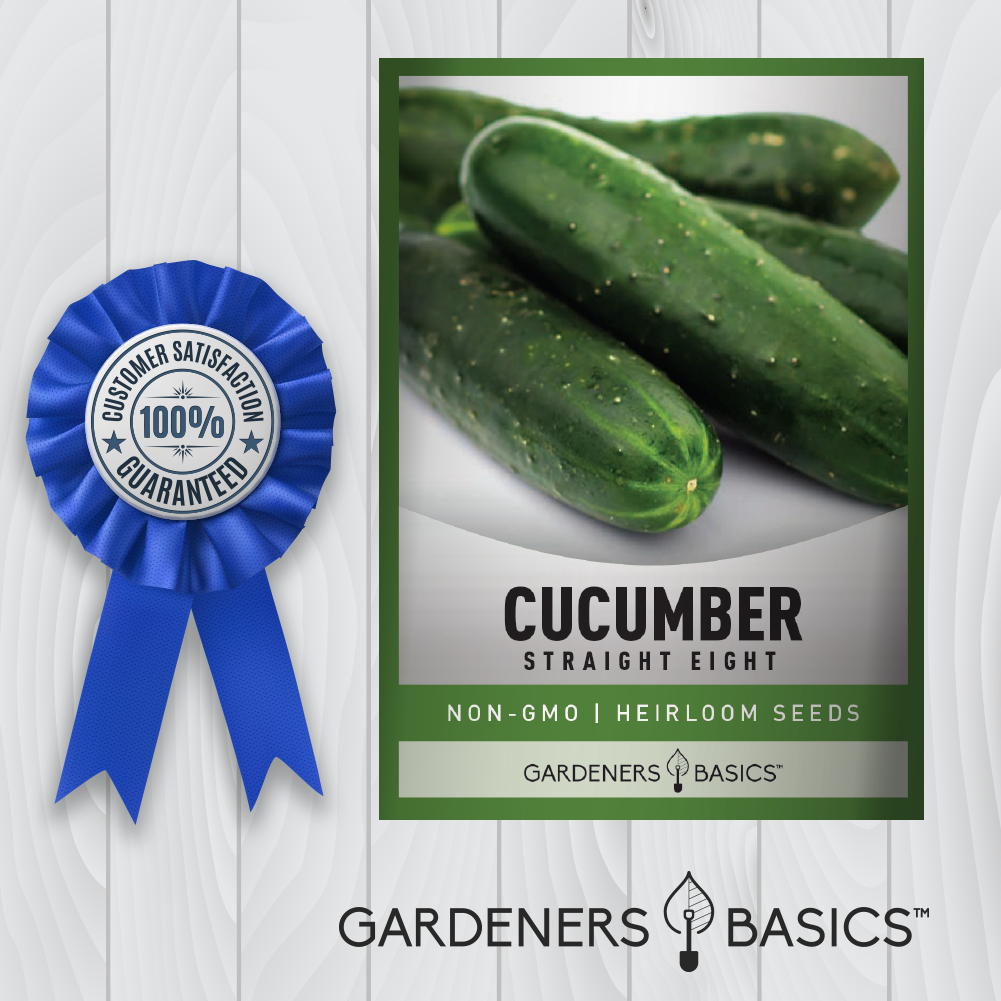 Straight Eight Cucumber Seeds: A Must-Have for Every Home Gardener