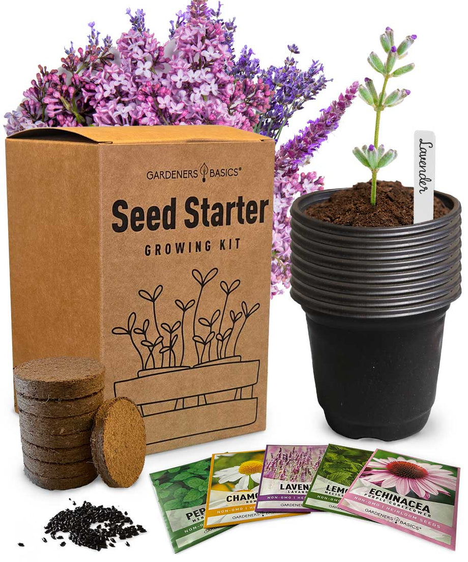 5 Herbal Tea Seed Starter Kit