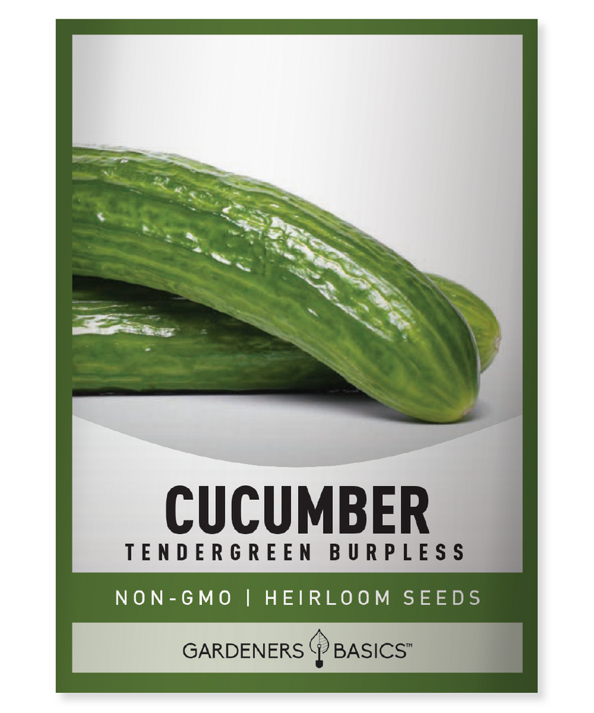 Tendergreen Burpless Cucumber Seeds, Cucumber Seeds for Planting, Organic Cucumber Seeds, Non-GMO Cucumber Seeds, Easy-to-Grow Cucumbers, High-Yielding Cucumbers, Home Gardening, Vegetable Garden, Healthy Cucumbers, Burpless Cucumbers, Garden Delights, Fresh Cucumbers, Cucumber Seed Variety, Crunchy Cucumbers, Flavorful Cucumbers, Salad Cucumbers, Pickling Cucumbers, Homegrown Cucumbers, Garden Success, Tendergreen Cucumber