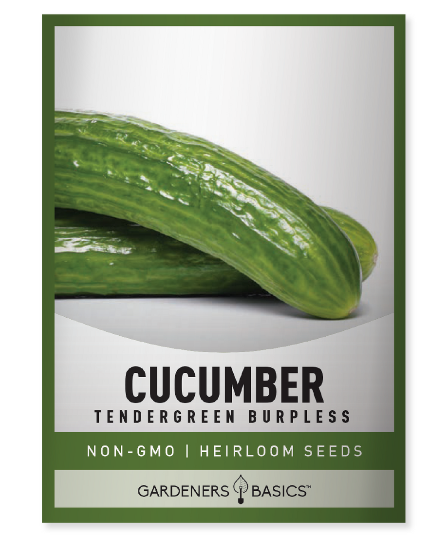 best cucumber seeds for planting Tendergreen Burpless Cucumber Seeds