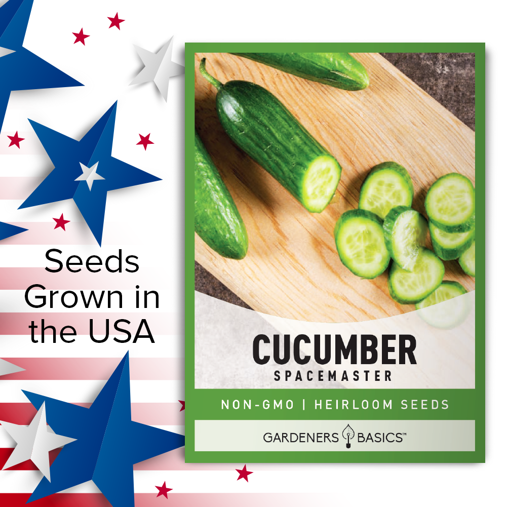 High-Quality Spacemaster Cucumber Seeds for Flavorful Harvests