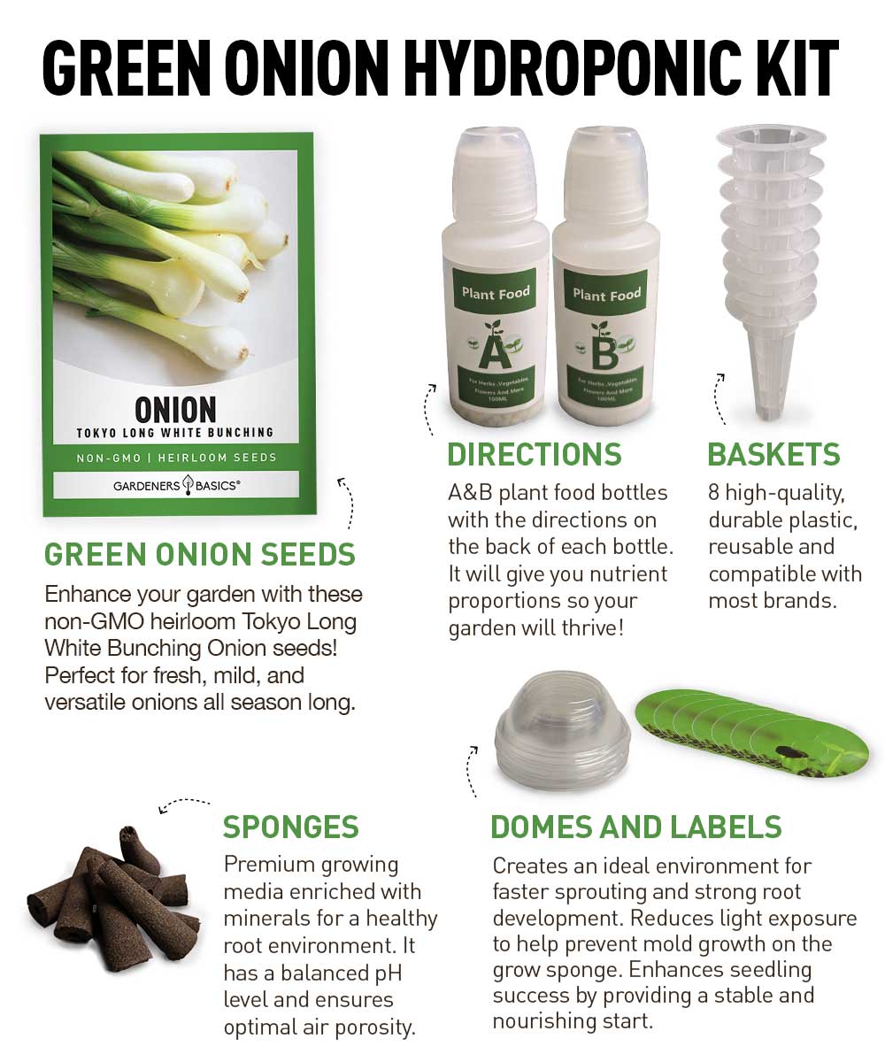 Green Onion Hydroponic Grow Kit – Easy Indoor Scallion Gardening with Non-GMO Seeds