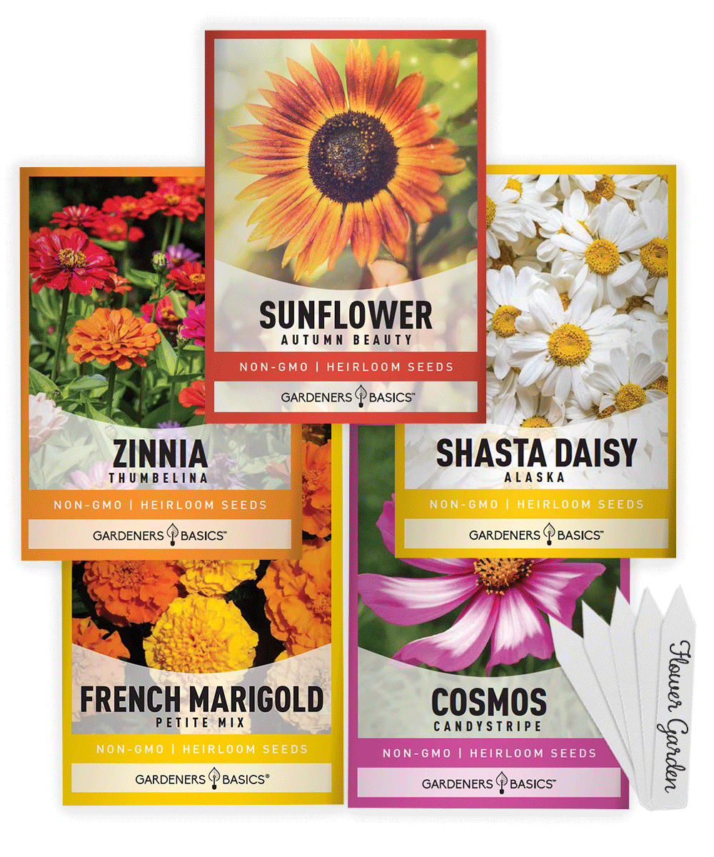 Gardeners Basics Flower Garden collection with five seed packets, including Alaska Shasta Daisy, and plant markers
