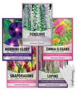 Gardeners Basics Hummingbird Garden collection with five flower seed packets and plant markers