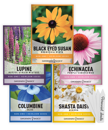 Gardeners Basics five-variety perennial flower seed packets with lupine, blue columbine, purple coneflower, Black Eyed Susan and Shasta daisy