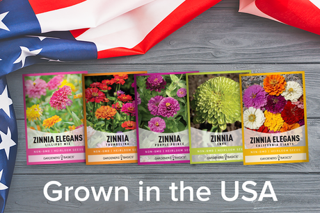 Zinnia Seeds for Outdoor Planting | 5 Variety Pack