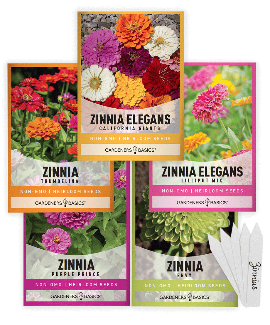 5g mixed zinnia flower seed easy to grow plant Gardeners Basics, Zinnia Seeds for Planting Outdoors Flower Seeds (5 Variety Pack) Thumbelina, Lilliput, Envy, Purple Prince and Pompon Varieties