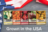 grow habanero peppers at home seeds set