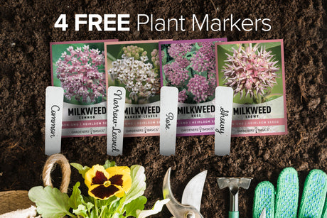 Four seed packets labeled for milkweed plants are displayed in soil with gardening tools and a yellow bittersweet pansy flower. White text at the top reads '4 FREE Plant Markers'.
