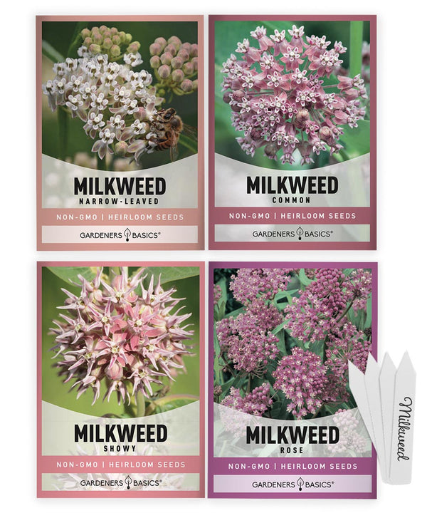 Milkweed Seeds for Monarch Butterflies | 4 Native Varieties
