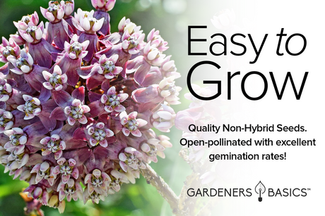 Purple flower cluster with 'Easy to Grow' text and Gardener's Basics logo.