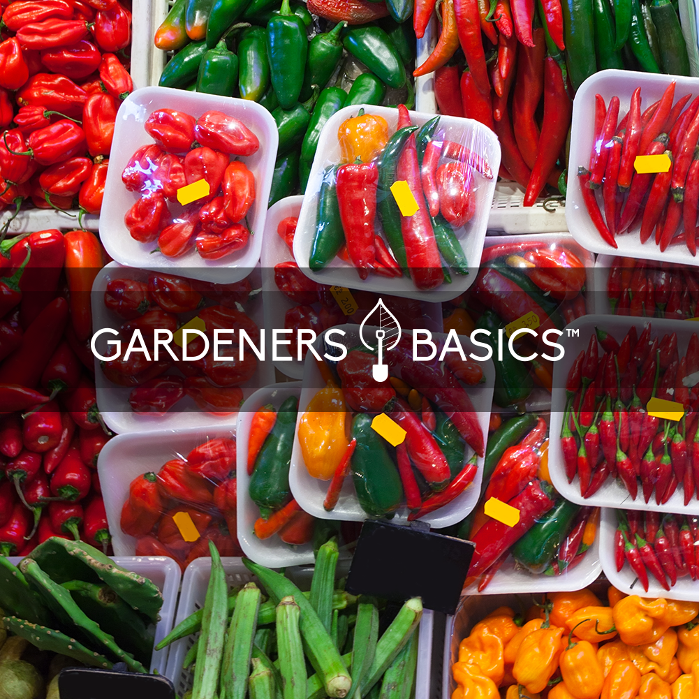 Assorted peppers in containers with 'Gardeners Basics' logo overlay.