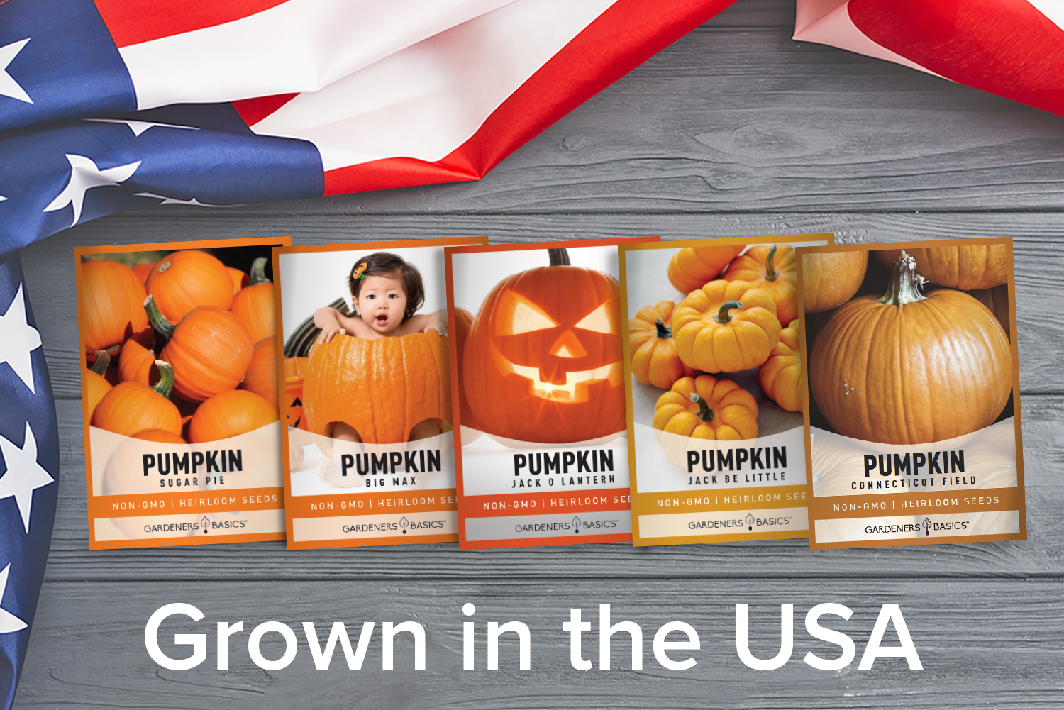 where to buy pumpkin seeds for planting near me Gardeners Basics, Pumpkin Seeds to Plant