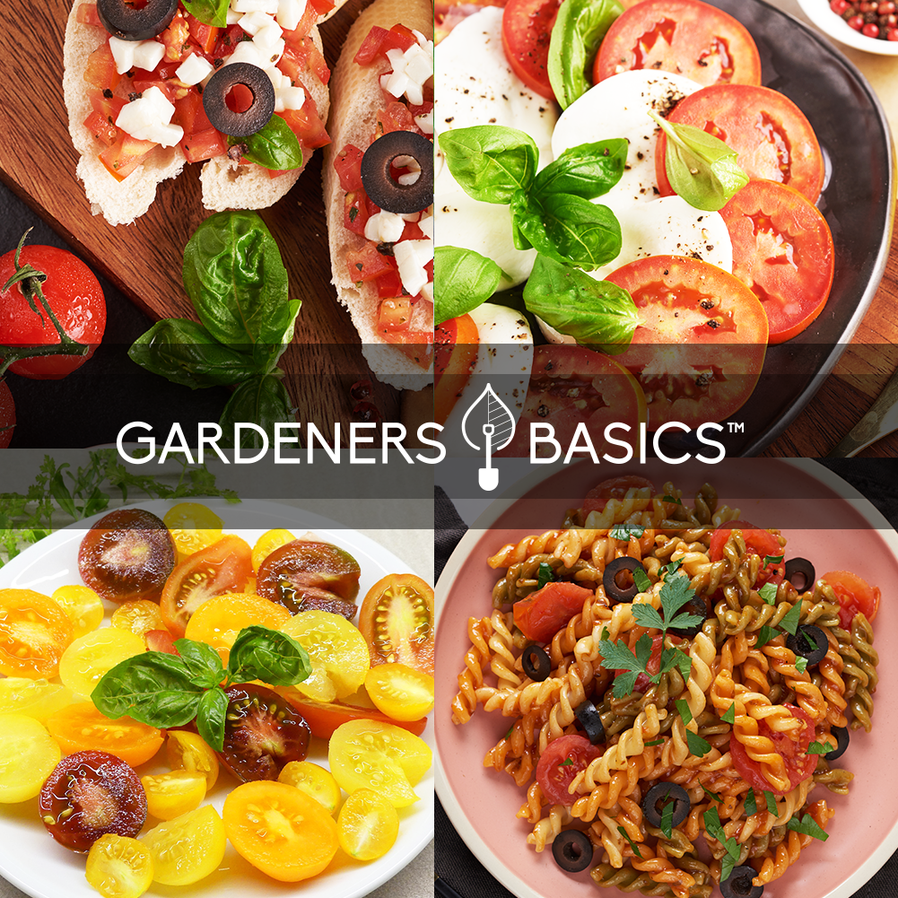 Discover the World of Basil: Plant and Enjoy Exotic Varieties